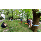 photo miniature